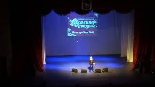 Йошкар-Ола. Владимир Лёвкин (красная гвоздика 2018)