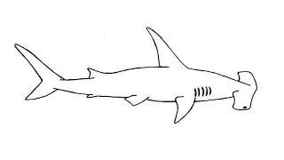 How to Draw a Hammerhead shark  / Как нарисовать Акулу-молот