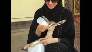 خليجيه ممحونه تكشف عورتها