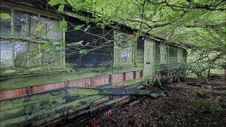 We Found an ABANDONED Cabin in the Woods with Everything Left Behind