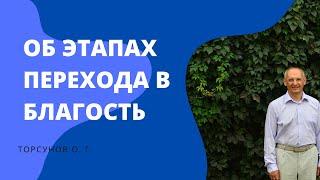 Об этапах перехода в БЛАГОСТЬ. Торсунов лекции