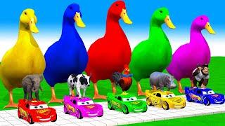 5 Giant Duck Cartoon, Cow, Mammoth, Elephant, Lion, Paint Wild Animals Crossing Fountain Animation