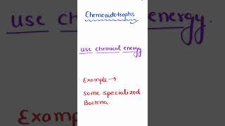 CHEMOAUTOTROPHS | defination and example #neet