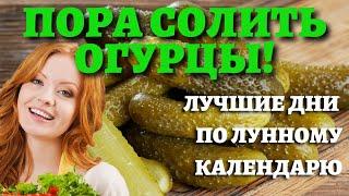 СОЛИМ ОГУРЦЫ НА ЗИМУ В БЛАГОПРИЯТНЫЙ ДЕНЬ! Лунный календарь 2021 - даты консервации огурцов