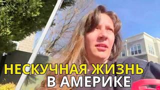 Наша Жизнь в США Закупки Вкусняшек, Опять Что-то Отмечаем!