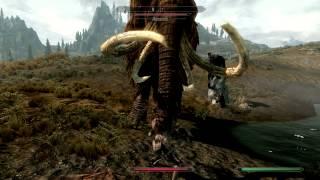 Skyrim: Dragonbone armor w/ 85% armor cap (Master difficulty)