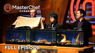 Good Things Come in Small Packages in MasterChef Canada | S02 E09 | Full Episode | MasterChef World