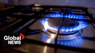 Could natural gas stoves be banned from homes in US or Canada over airborne pollutants?