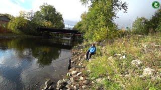 РЫБАЛКА С ДРУЗЬЯМИ НА РЕКЕ ТАГИЛ! НЕ НАДО ОГРОМНЫХ ЛЕЩЕЙ И КРУПНЫХ ОКУНЕЙ! ПРИВЕТ ДМИТРИЮ И ТИНЕ!