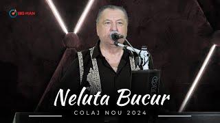 Neluta Bucur | COLAJ NOU PETRECERE 2024 | Melodii Noi Neluta Bucur 2024