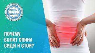  Почему болит спина сидя и стоя?