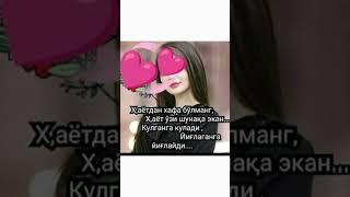 #shamshod_tv #musofir #obunaboling #тикток #shortvideo #love #janzenmusik