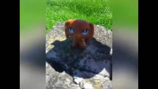 Lps- bang bang music video