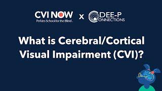 What is CVI? (from CVI Now x DEE-P)