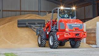 Weidemann – Radlader 4080LP Getreide aufschieben