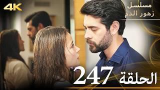 الحلقة 247 | مسلسل زهور الدم | مدبلج بالعربية | Kan Çiçekleri | جودة 4K