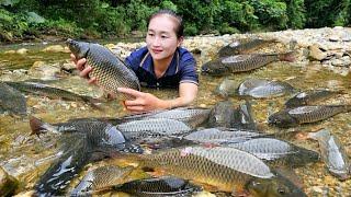 Encounter huge schools of fish - Trap fish and catch fish go to countryside market sell | Ly Thi Tam