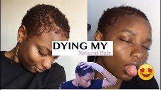 Dying My Natural Hair AT HOME (NO BLEACH)  ft. Clairol Textures & Tone | Toshi Hamilton