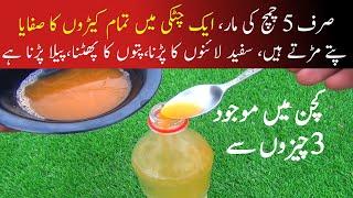 Insect killer spray|kidemaar spray|organic pesticide