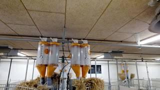 SKIOLD Farrowing Section