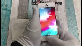 iphone se 32 gold б/у  - Мобилочка