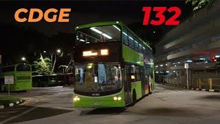 [SBST] Volvo B9TL CDGE, Euro 3 on service 132, SBS7441R