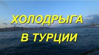 Ну и весна в Турции!?!? Нос замёрз в этой вашей Турции. Погода в Стамбуле. Каштаны. Meryem Isabella