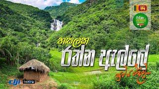 Rathna Ella Falls - Hasalaka (Travel Vlog 101)