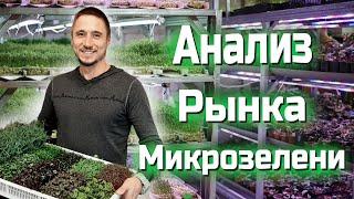 Анализ Рынка  . Часть 1 . Микрозелень  Бизнес