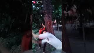 Bhole Baba Ke Deewane