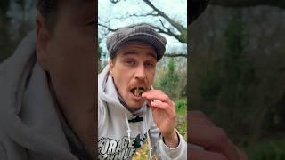 Don’t wait for a Crisis to learn how to Forage!