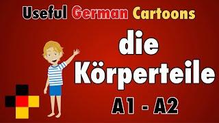 Learn Useful German: die Körperteile -  the body parts in German / Vocabulary for Beginners - A1, A2