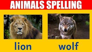 Wild Animal Names - Learn Spelling and Pronunciation in English