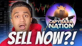 $BARA IS CRASHING!! SHOULD YOU SELL CAPYBARA NATION?! $BARA PRICE PREDICTION!!