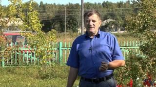 Тогучин