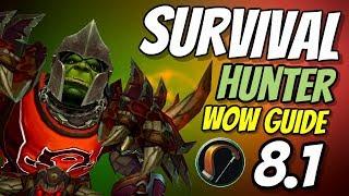 Survival Hunter PvE Guide 8.1 | Talents, Rotation & Stats | World of Warcraft Battle for Azeroth