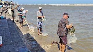 Pescas de tarrafas, Pesqueiro do Bueiro / Mulato, Imbé, RS. Um show! #pescadetarrafa #mulletfishing