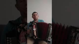 Куст калины под гармонь