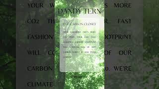 The Carbon Closet | Sustainable Clothing Brand | Dandy Tern