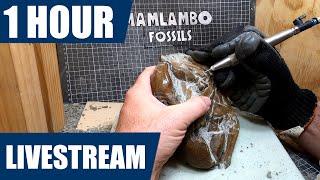 Mamlambo Fossils: Fossil crab prep at 10x speed!