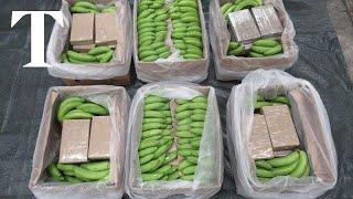 Biggest class A drug seizure in the UK found in banana cargo