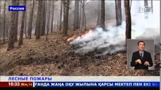 В Восточной Сибири полыхают лесные пожары