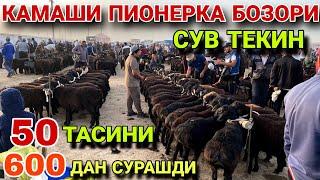 АЯНЧЛИ НАРХЛАРИ!  КУЙ КУЗИ НАРХЛАРИ 2025.25 МАЯ КАШКАДАРЁ ВИЛОЯТИ КАМАШИ ПИОНЕРКА МОЛ БОЗОРИ 2025.