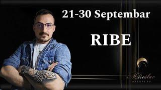 RIBE 21 30 SEPTEMBAR