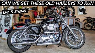 Harley Shop Sunday - Get that Evo or Shovelhead Chopper Running - Wahoo!