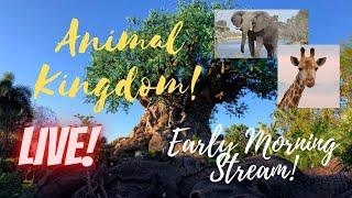 LIVE: Disney’s Animal Kingdom | Disney World Livestream | 6/15/2025