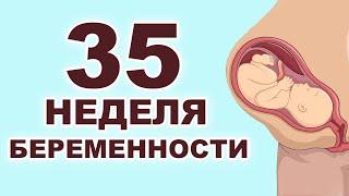 Что происходит с ребенком и мамой на 35 неделе беременности? 8 месяц беременности. Третий триместр.