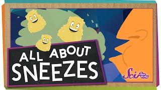 All About Sneezes!