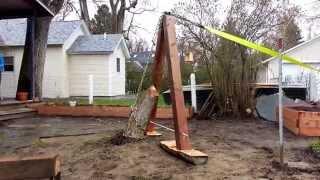 Pulling a Stump Using a Truck and Mechanical Advantage