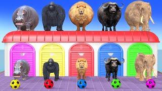 Elephant, Lion, Buffalo, Gorilla, Hippo, 3d Animal Long Slide Game Funny, 3d Paint Animals Cage Game